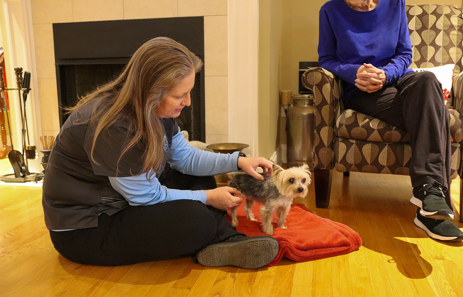 A woman gently pets a small dog while sitting on a red blanket, creating a warm and affectionate scene.