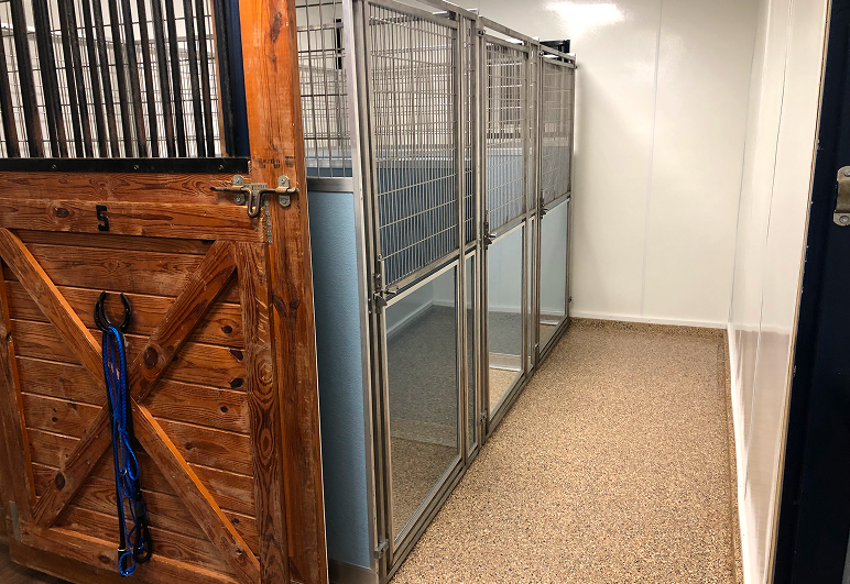A spacious room featuring multiple stalls and a single door, designed for various activities or services.