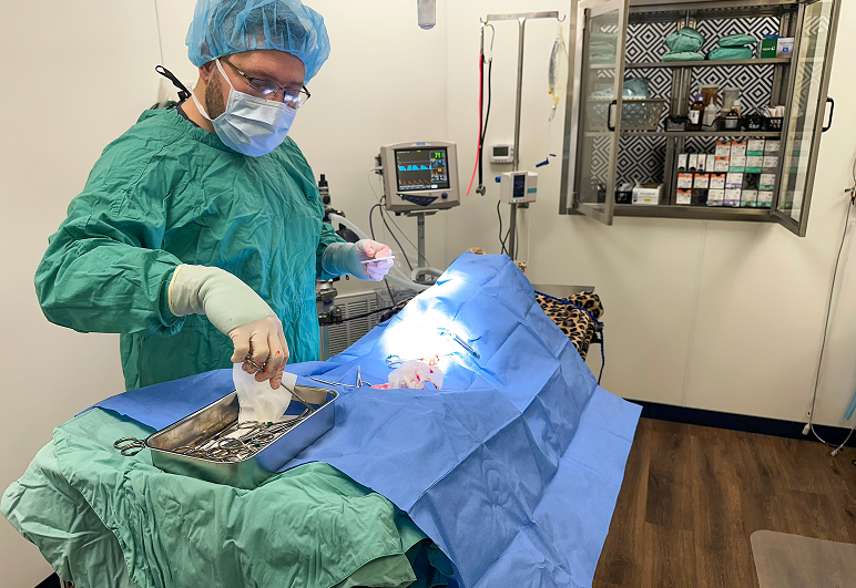 A man in surgical attire stands in a surgical room beside a cat lying on an operating table.
