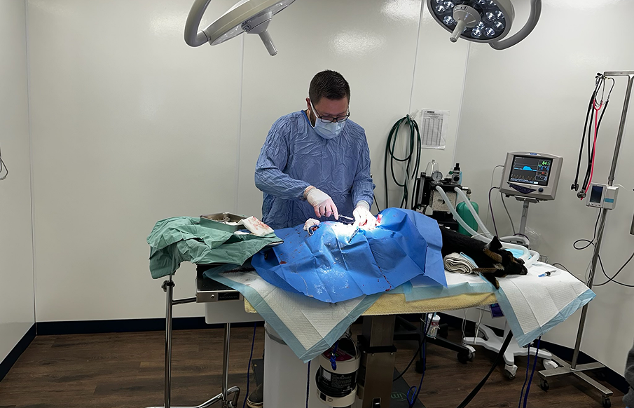 A man in surgical attire stands in a surgical room beside a cat lying on an operating table.