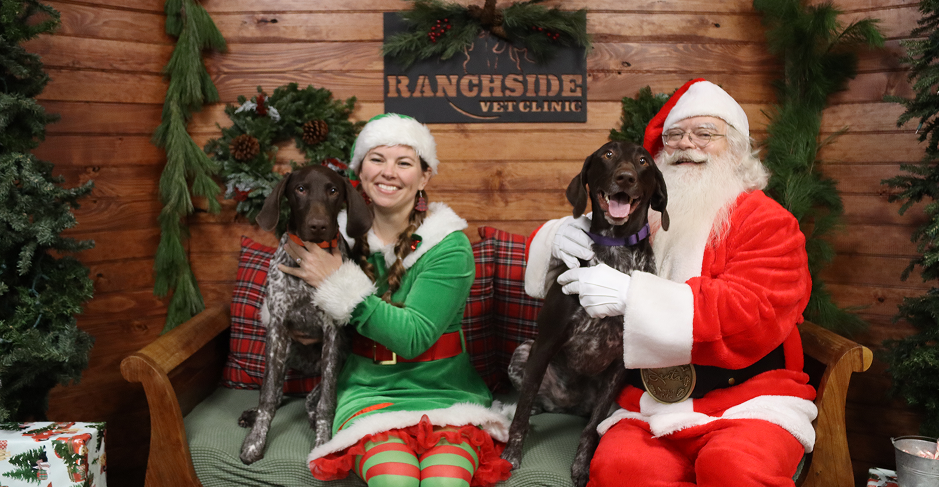 A woman and a dog in Santa costumes pose together, smiling joyfully with a second dog beside them.